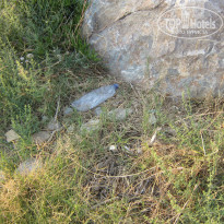 фото из отзыва ID 794958