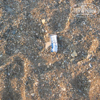 фото из отзыва ID 794958