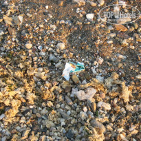 фото из отзыва ID 794958