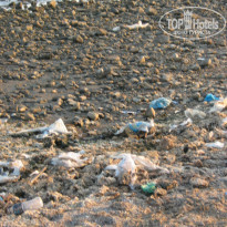 фото из отзыва ID 794958