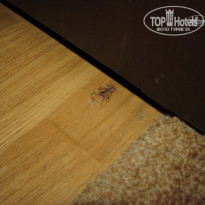 фото из отзыва ID 794557