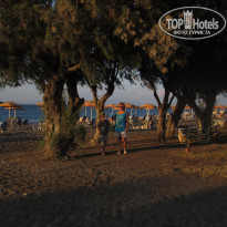 фото из отзыва ID 795180