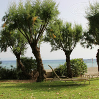 фото из отзыва ID 795232