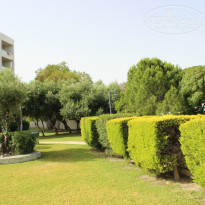 фото из отзыва ID 795232