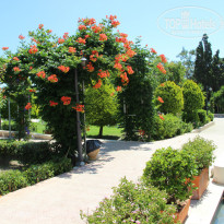 фото из отзыва ID 795232