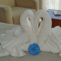 фото из отзыва ID 795270