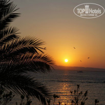 фото из отзыва ID 795309