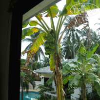 фото из отзыва ID 795318