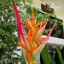 фото из отзыва ID 795318