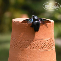 фото из отзыва ID 795318