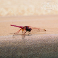 фото из отзыва ID 795318