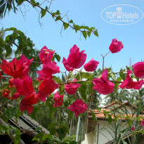 фото из отзыва ID 795318