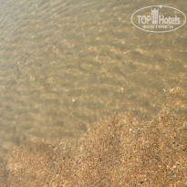 фото из отзыва ID 795650