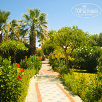 фото из отзыва ID 795823