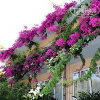 фото из отзыва ID 795922