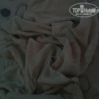 фото из отзыва ID 795994