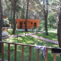 фото из отзыва ID 796019