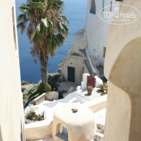 фото из отзыва ID 796072