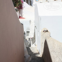 фото из отзыва ID 796072