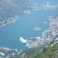 фото из отзыва ID 796256