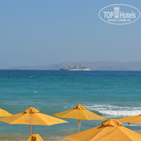 фото из отзыва ID 796278