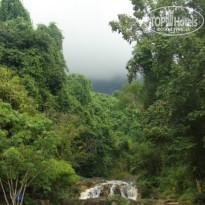 фото из отзыва ID 796515