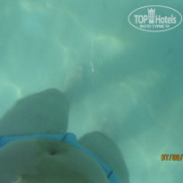 фото из отзыва ID 796553