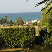 фото из отзыва ID 796715