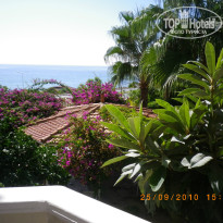 фото из отзыва ID 796819