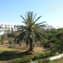 фото из отзыва ID 796858