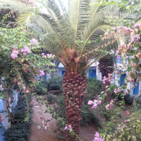 фото из отзыва ID 796858