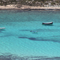 фото из отзыва ID 796932