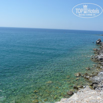 фото из отзыва ID 796948