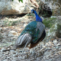 фото из отзыва ID 796948