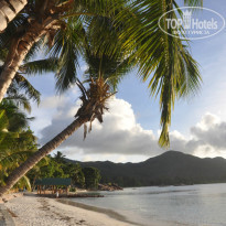 фото из отзыва ID 796972