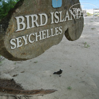 фото из отзыва ID 796268