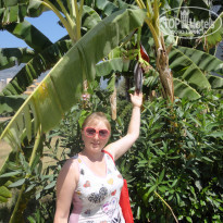 фото из отзыва ID 796593