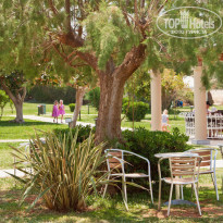 фото из отзыва ID 796301