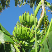 фото из отзыва ID 796413