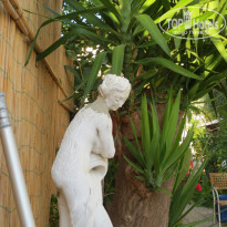 фото из отзыва ID 796413