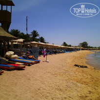 фото из отзыва ID 796182