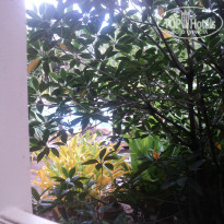 фото из отзыва ID 797022