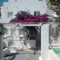 фото из отзыва ID 797133