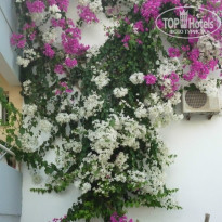 фото из отзыва ID 797203