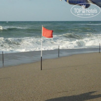 фото из отзыва ID 797203