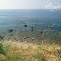 фото из отзыва ID 797302