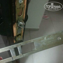 фото из отзыва ID 797441