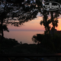 фото из отзыва ID 797538