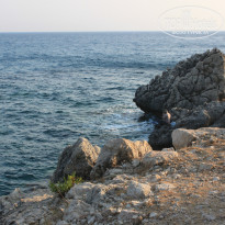 фото из отзыва ID 797538