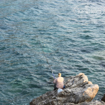 фото из отзыва ID 797538